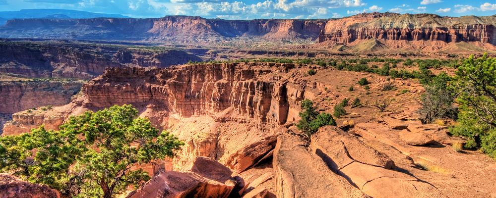 Capitol Reef National Park